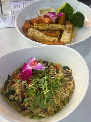   at Boat House Bistro in Boothbay Harbor