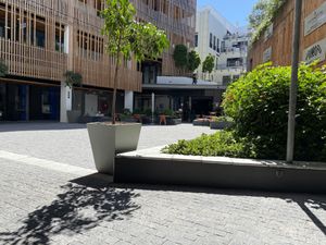   at Scheckter's Raw in Cape Town