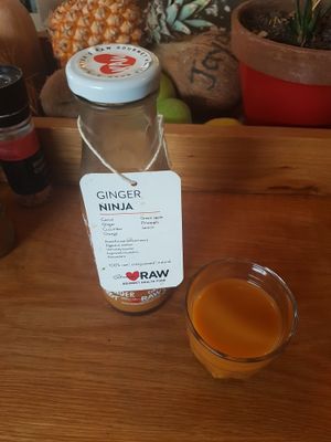 Ginger Ninja at Scheckter's Raw in Cape Town