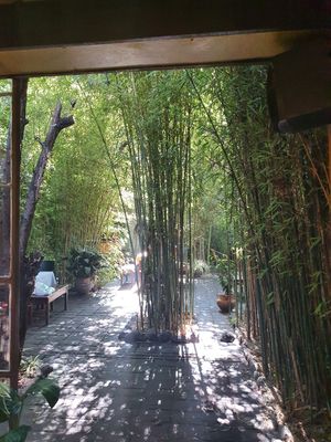 Outdoor seating as well as indoor at Madre Tierra in San Salvador De Jujuy