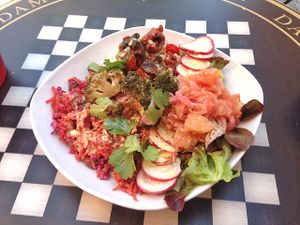 plat froid du jour at Café Vert in Lyon