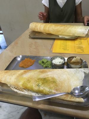 Masala dosa  at Brindhavan Vegetarian Restaurant in Kochi