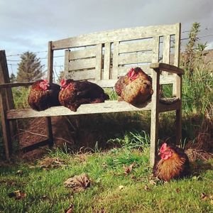 undefined at The Old Croft House in Isle Of Skye