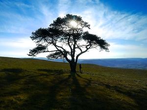 Sunset above the house at Penrhiw Vegetarian Bed & Breakfast in Llanafan