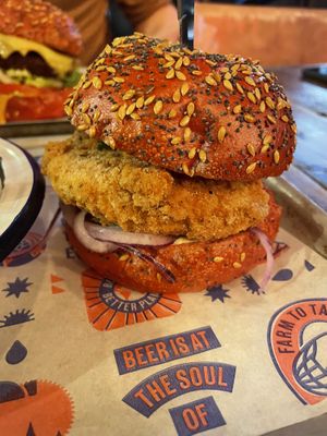 Clucky this time  at BrewDog in Aberdeen