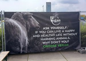 poster "ask yourself: if you can live a happy life without harming animal s, why don't you? choose vegan"☝🏼 at BE Vegan in Ghent