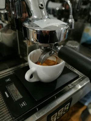 Perfect extraction... at The Missing Bean in Oxford