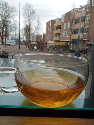 Lovely green tea by the window at Spirit in Amsterdam