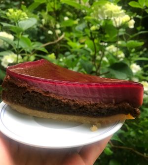 Inside of Vegan Cherry Cake - I’ll definitely have this one again, tastes amazing!🍰 at Spirit in Amsterdam