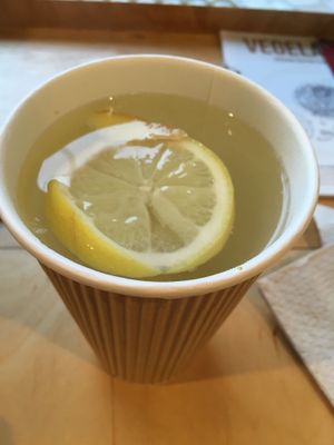 Hot ginger at Vegelabb in Warsaw