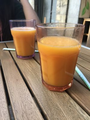   at BioXoco in Barcelona