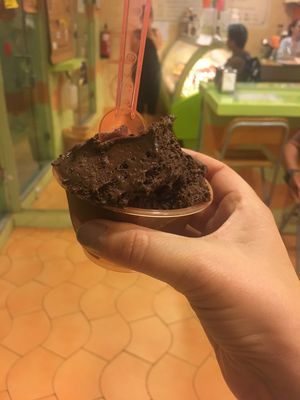 possibly the best vegan chocolate ice cream I've had! at Sani Sapori in Madrid