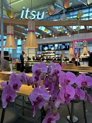 I'm  at LHR - Itsu - T5 in West London