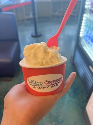 Vegan Vanilla Ice Cream  at Wilton Creamery in Wilton Manors