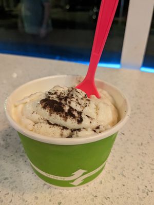 Vegan vanilla with chipotle coco powder (tasted like nothing). at Wilton Creamery in Wilton Manors