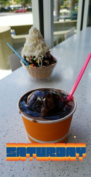 Vegan ice cream, vegan chocolate sauce, vegan whipped cream at Wilton Creamery in Wilton Manors