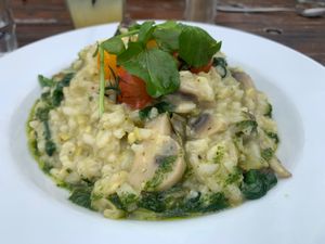  at Powerhouse Cafe in Hanmer Springs