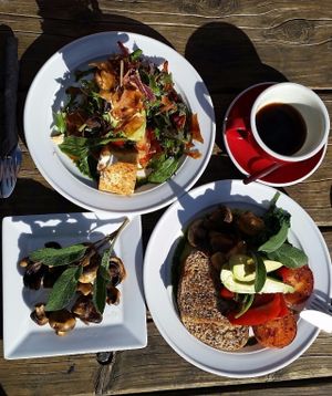 Toasted Wholegrain Bread & Huveos Rancheros with a side of Mushrooms at Powerhouse Cafe in Hanmer Springs