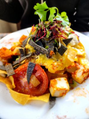 Rancheros with tofu at Powerhouse Cafe in Hanmer Springs