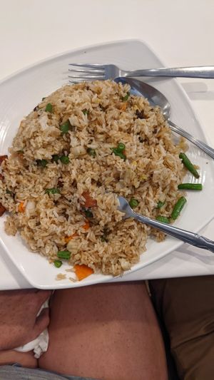 BBQ "pork" fried rice at VeGreen in Duluth