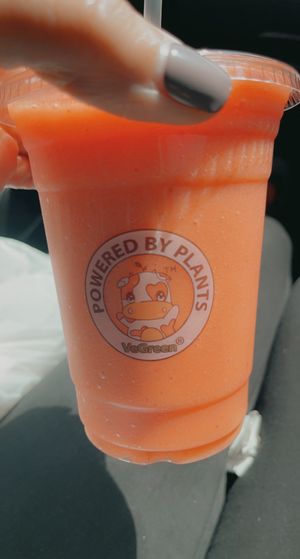   at VeGreen in Duluth