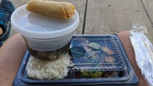 Brussel & mushroom lunch special. at VeGreen in Duluth