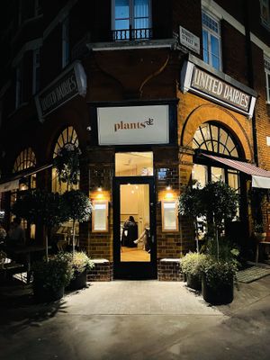   at Plants by Deliciously Ella in London