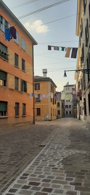  at La Tecia Vegana in Venice