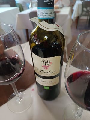 Vin bio vegan et sans sulfite at La Tecia Vegana in Venice