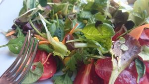 Big salad at La Tecia Vegana in Venice