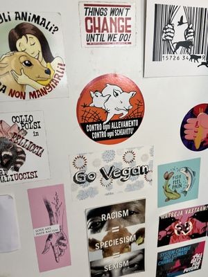   at La Tecia Vegana in Venice