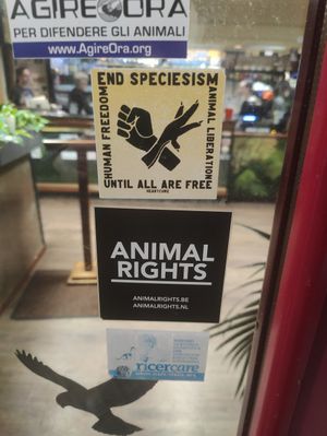 Door at La Tecia Vegana in Venice