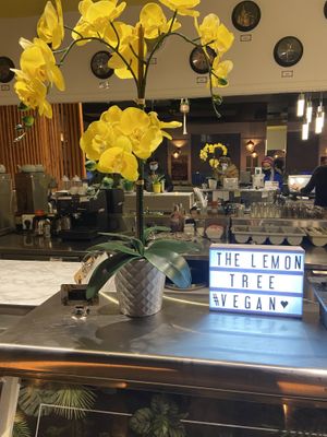   at The Lemon Tree in St Catharines