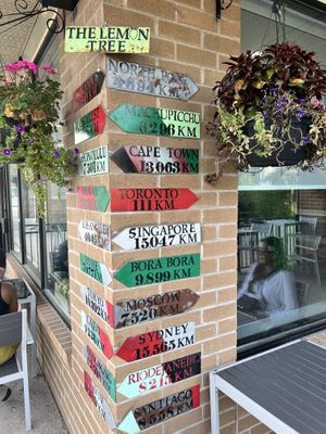   at The Lemon Tree in St Catharines