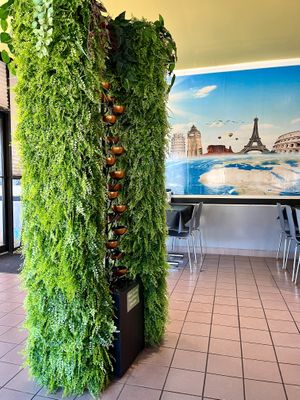   at The Lemon Tree in St Catharines