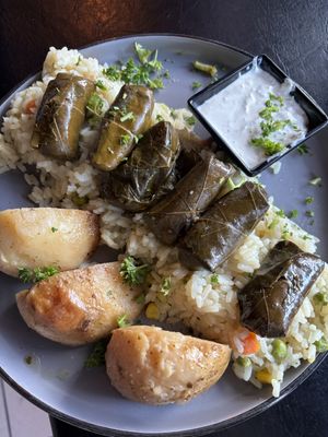 Dolmades dinner  at The Lemon Tree in St Catharines