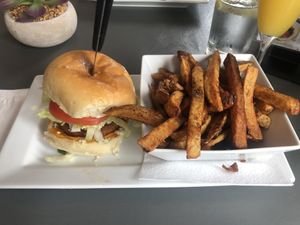 Mediterranean Beyond Burger at The Lemon Tree in St Catharines