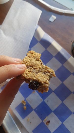 mostly eaten (oops) oatmeal raisin cookie at Mammoth Coffee in Philadelphia