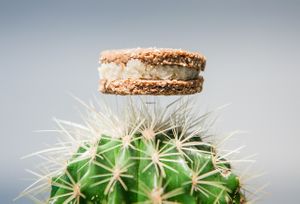 Higher state of vegan happiness at Raw To Go in Sofia