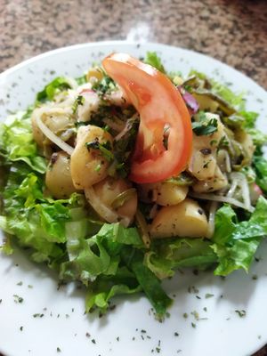 Ensalada de escabeche de papas con nopales y rábanos   at Paraíso Vegano in Mexico City