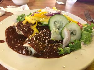  “enmoladas” vegan  at Paraíso Vegano in Mexico City