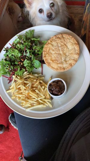 My lovely vegan pie lunch with hopeful alfie at McNab's in Barnard Castle