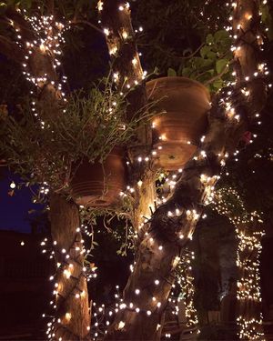 Outdoor at Sa Ximbomba in Mallorca