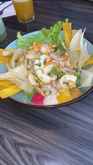 Cevicce, ensalada at Mestizo Vegano in Bogota