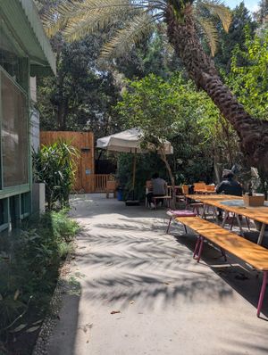outside seating at Osana Wholefood Restaurant in Cairo