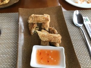 Nice fried spring rolls  at Minh Hien 2 in Hoi An