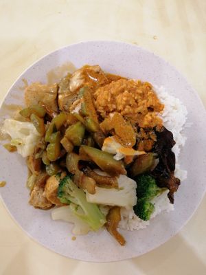 Mixed vegetables rice at Lan Xiang Yuan Vegetarian in West Singapore