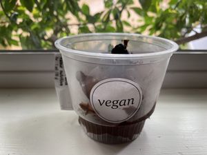 Vegan mousse   at Whole Foods Market in Victoria