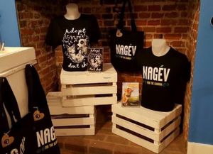 Fireplace :-) at Little Shop of Vegans in Norwich