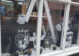 Shop Window at Little Shop of Vegans in Norwich
